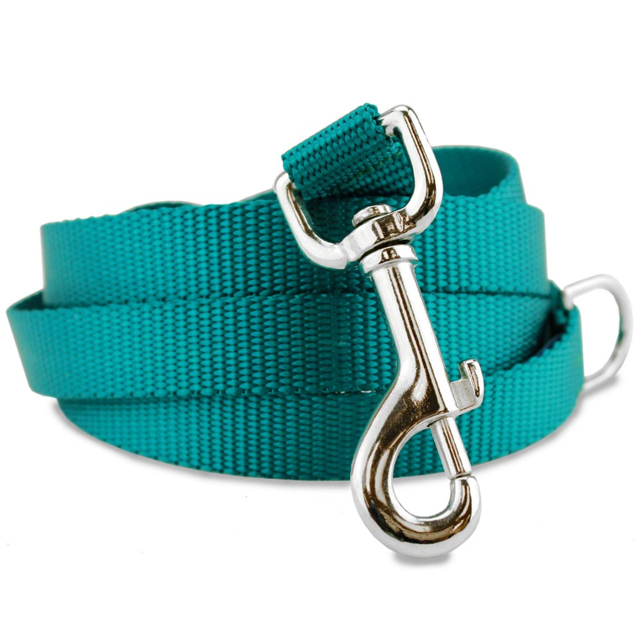Teal nylon webbing dog leash with metal clasp