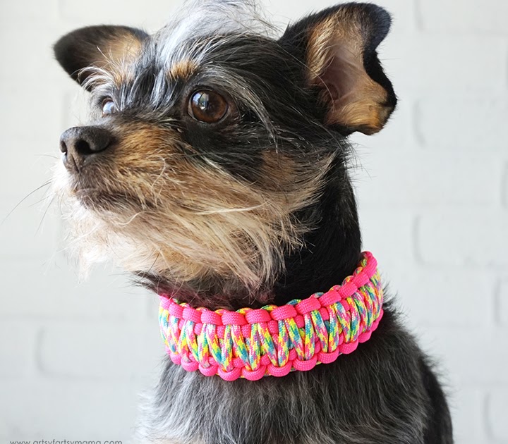 Handwoven paracord dog collar in red, white and blue