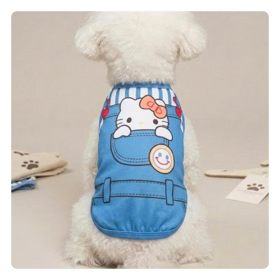 Bichon in colorful cartoon-print pajama set