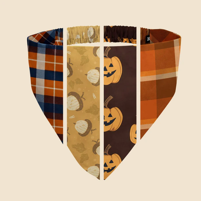 Dog wearing an autumn plaid bandana among pumpkins