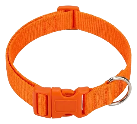 Solid orange webbing collar